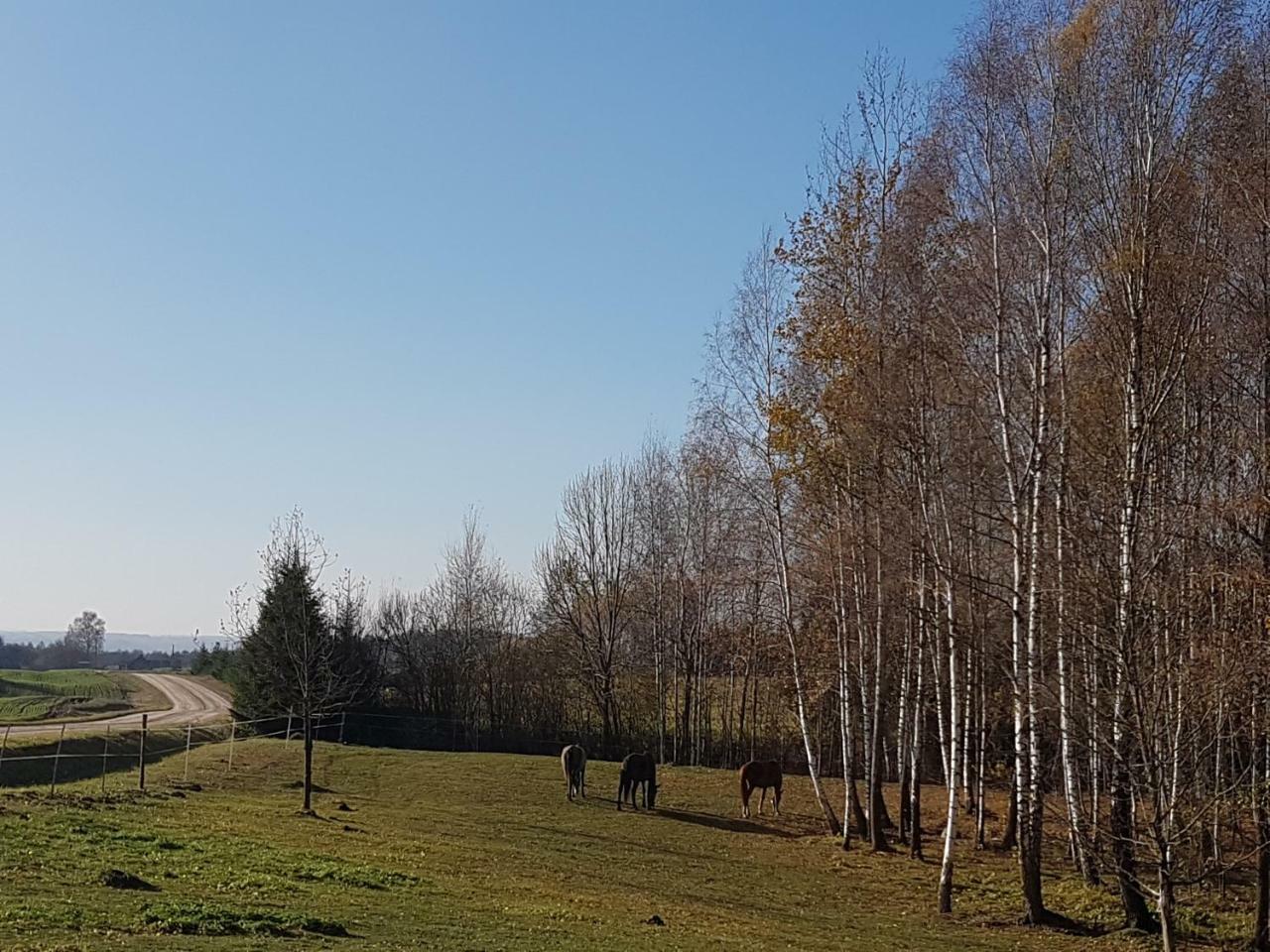 Villa Cheval Aukštadvaris Εξωτερικό φωτογραφία