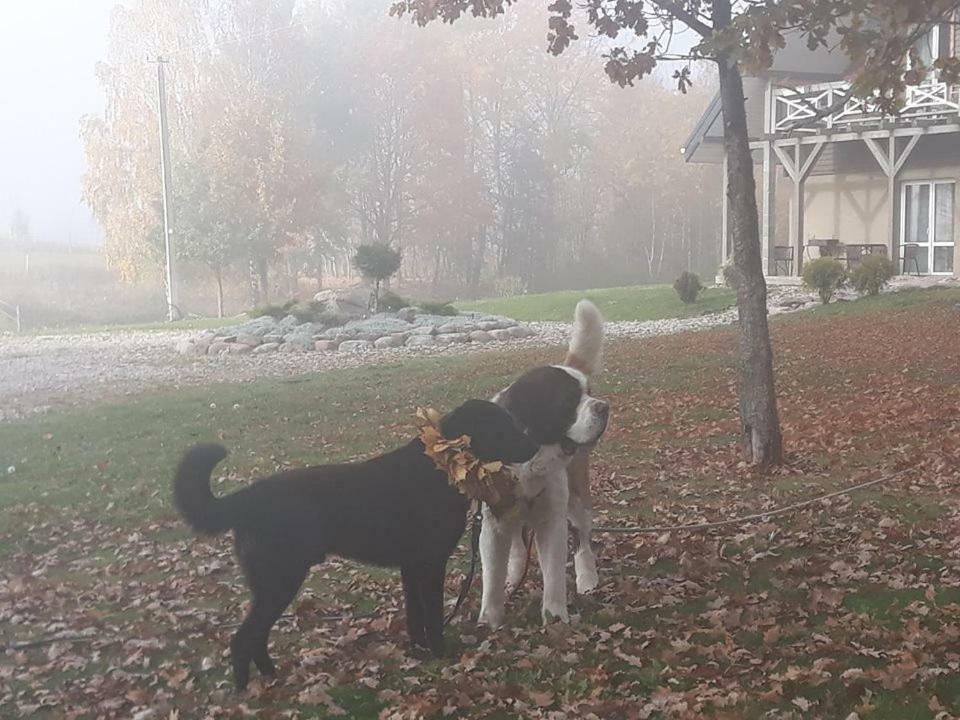 Villa Cheval Aukštadvaris Εξωτερικό φωτογραφία