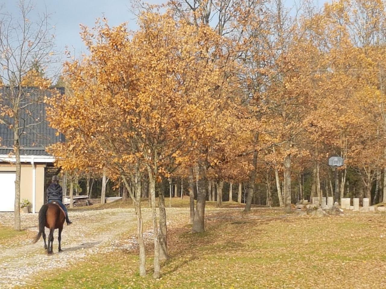 Villa Cheval Aukštadvaris Εξωτερικό φωτογραφία